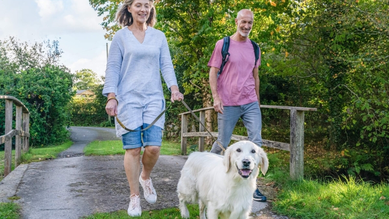 Pet Friendly Countryside Escapes: Take Your Dog to Leitrim